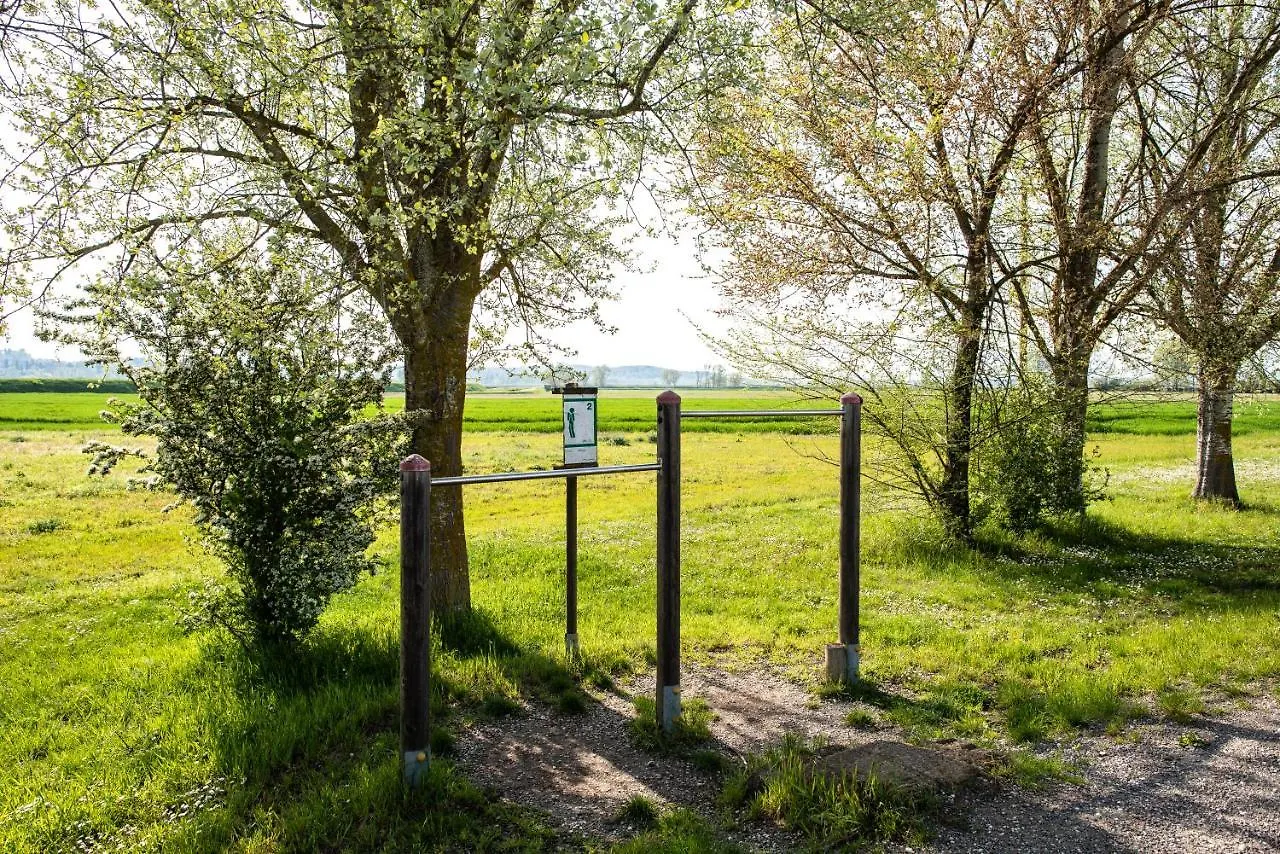 Costanza - Appartamento In Torre Cerreto Guidi